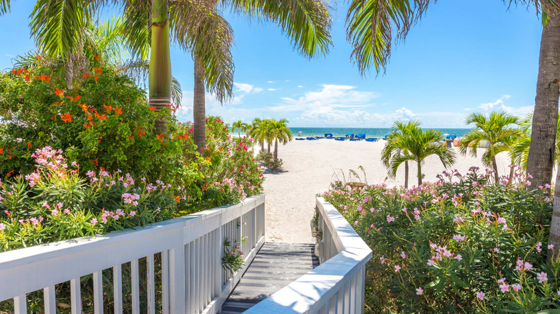 ST. PETE, FL DOG-FRIENDLY TRAVEL GUIDE