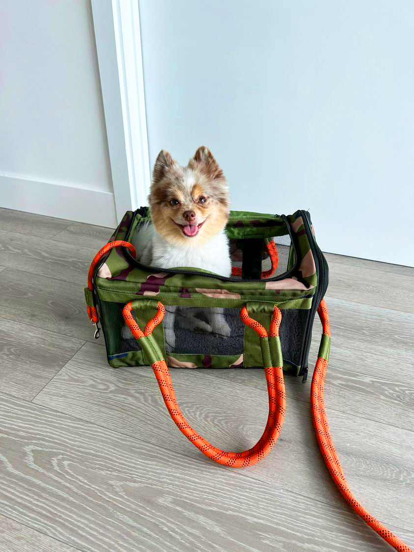 INTERVIEW WITH LOUIS @LOUISTHEPOMSKY