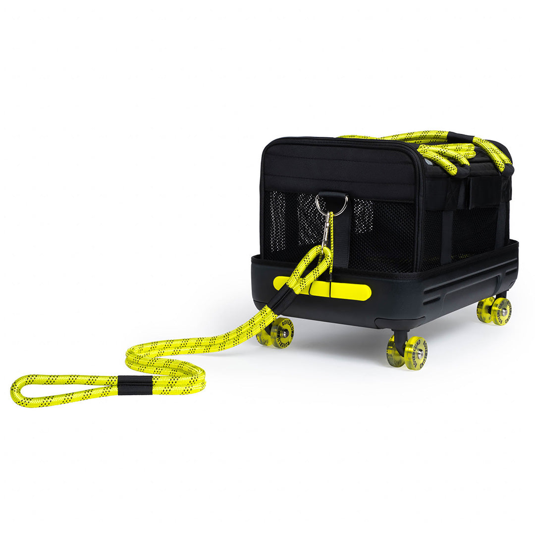 BLACK / YELLOW | SMALL - ORIGINAL DESIGN