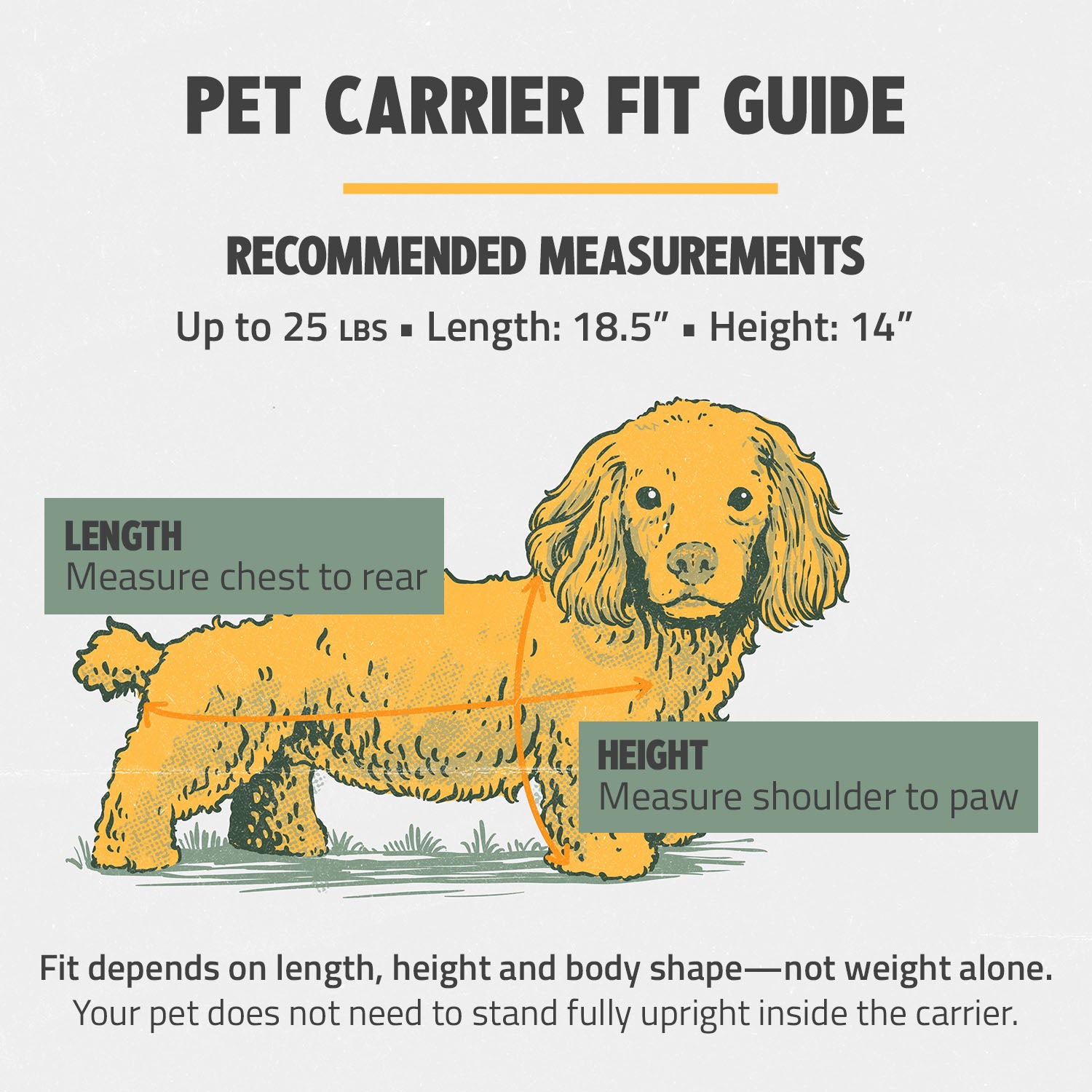 out-of-office-pet-carrier-1