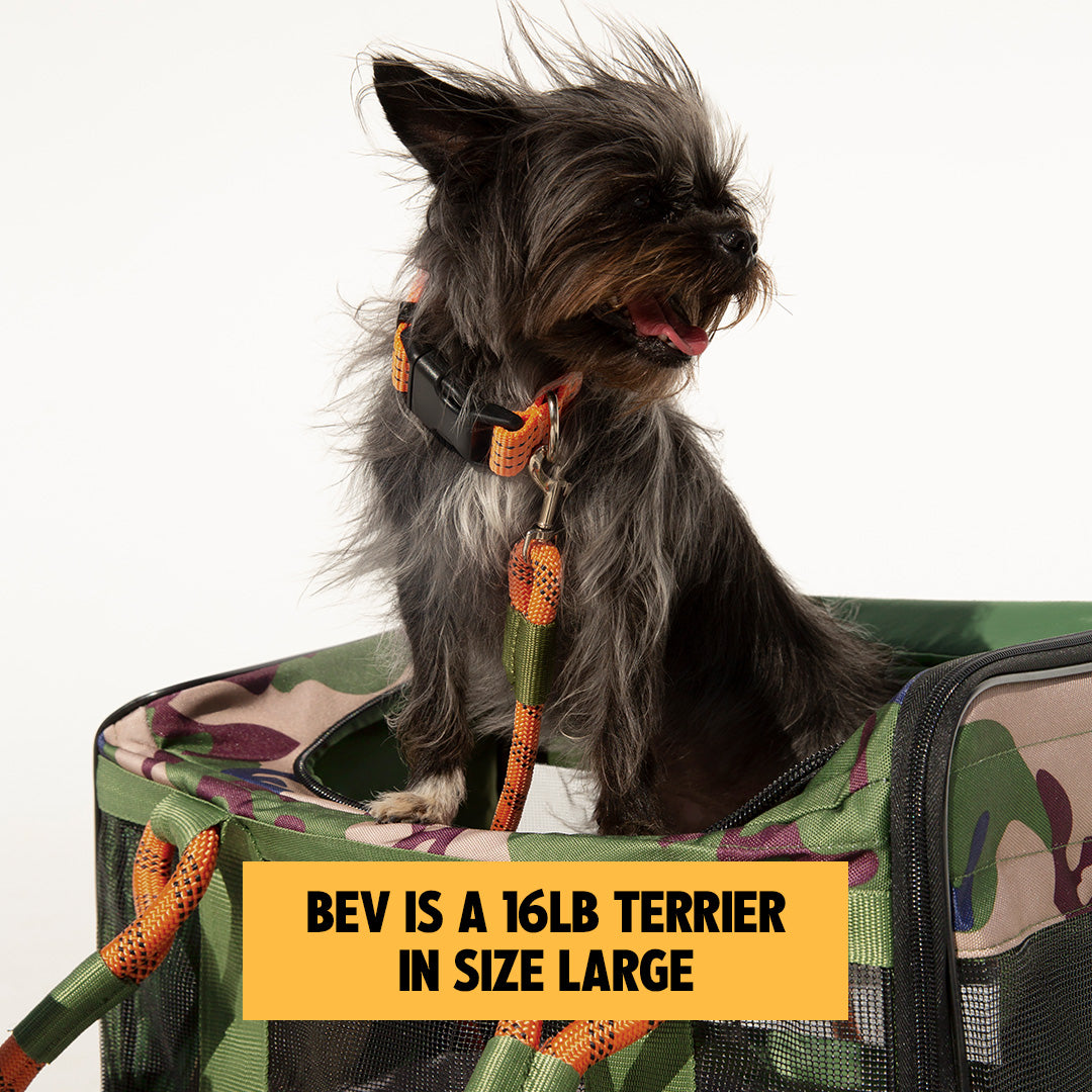 out-of-office-pet-carrier-1