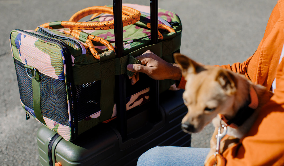 Dog traveling with its owner using a Roverlund pet carrier