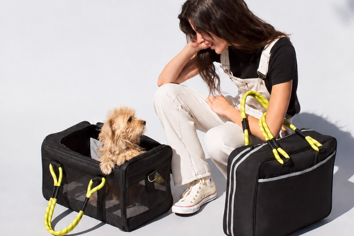 Dog traveling with its owner using a Roverlund pet carrier