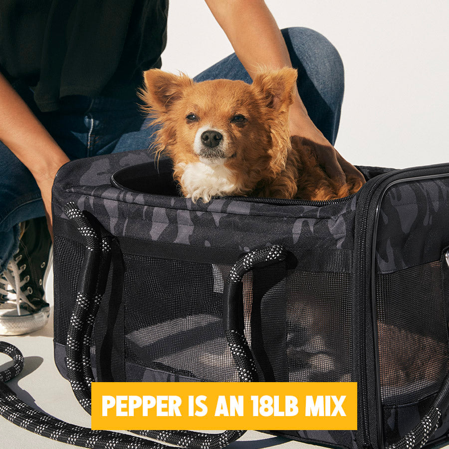 out-of-office-pet-carrier-1