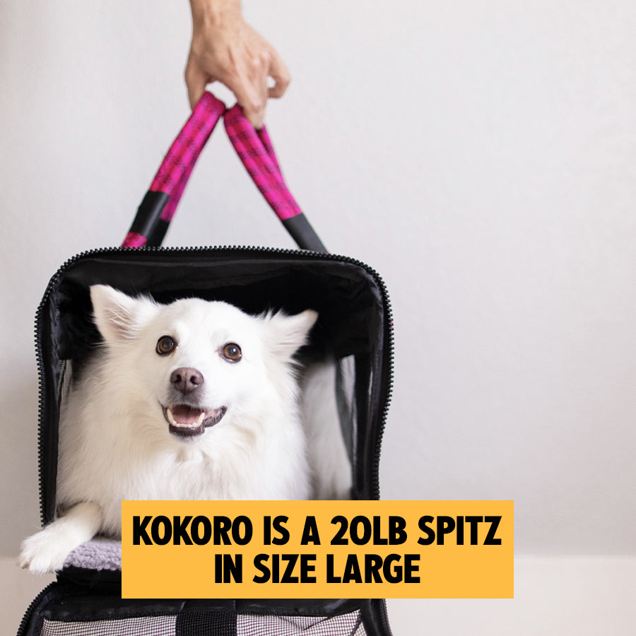 out-of-office-pet-carrier-1